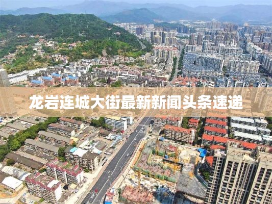 龙岩连城大街最新新闻头条速递