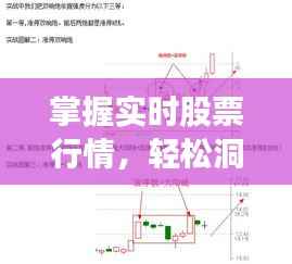 掌握实时股票行情,轻松洞悉股市动态!