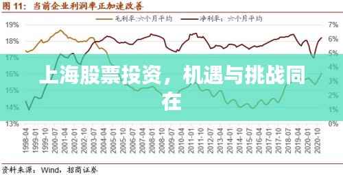 水浄鹅飞 第4页