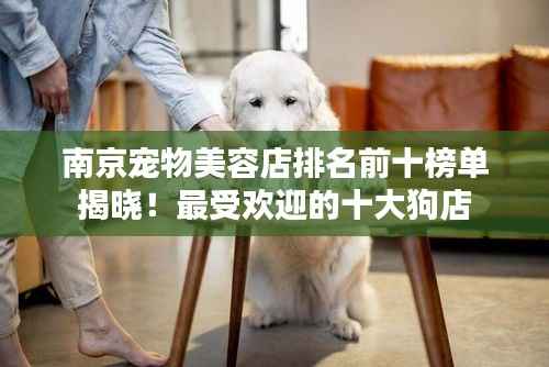 南京宠物美容店排名前十榜单揭晓!最受欢迎的十大狗店