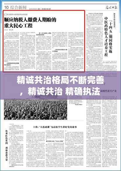 精诚共治格局不断完善,精诚共治 精确执法
