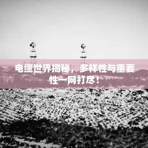 电缆世界揭秘,多样性与重要性一网打尽!