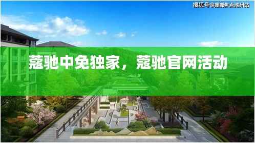 蔻驰中免独家,蔻驰官网活动