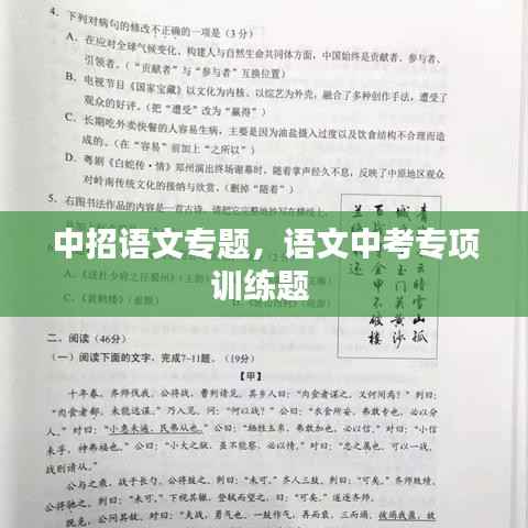 中招语文专题，语文中考专项训练题 
