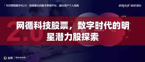 网循科技股票,数字时代的明星潜力股探索