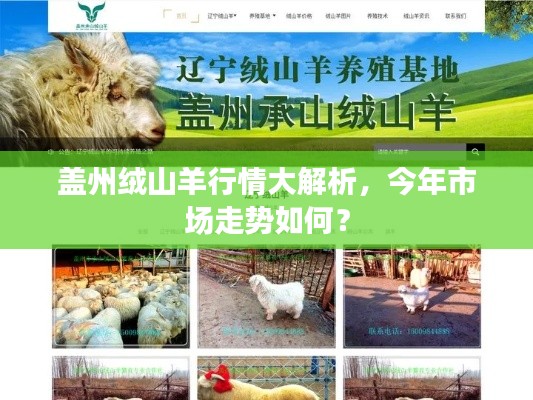 盖州绒山羊行情大解析，今年市场走势如何？