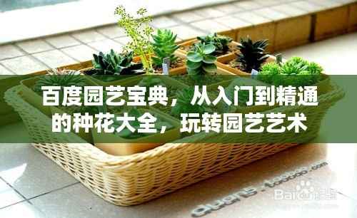 百度园艺宝典,从入门到精通的种花大全,玩转园艺艺术