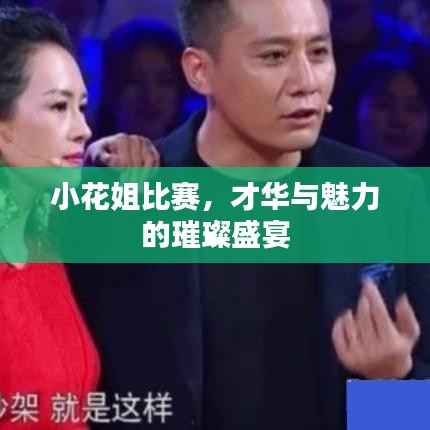 小花姐比赛,才华与魅力的璀璨盛宴