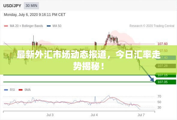 最新外汇市场动态报道,今日汇率走势揭秘!