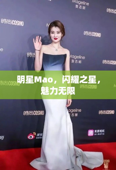 明星Mao,闪耀之星,魅力无限