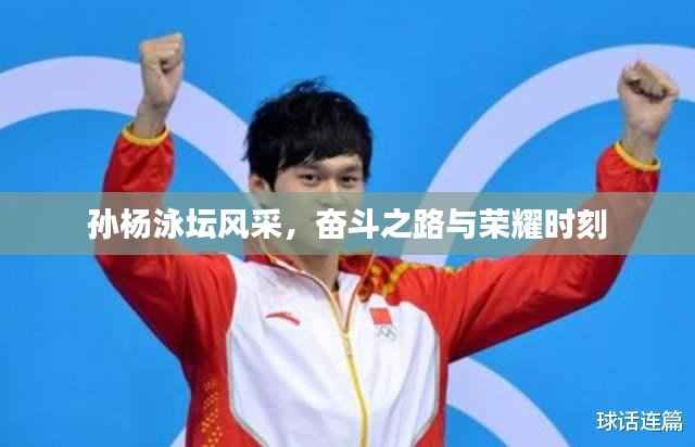 孙杨泳坛风采,奋斗之路与荣耀时刻