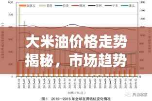 大米油价格走势揭秘,市场趋势与影响因素分析