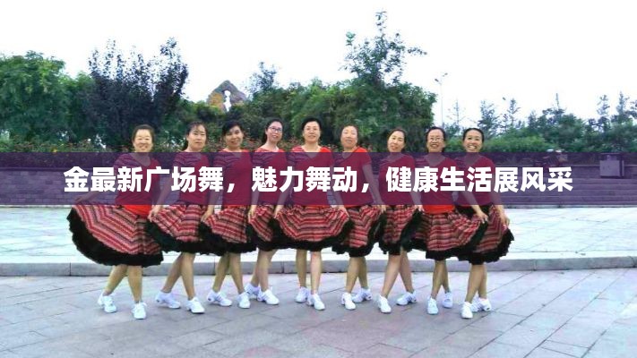 金最新广场舞，魅力舞动，健康生活展风采