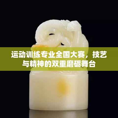 运动训练专业全国大赛,技艺与精神的双重磨砺舞台